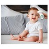 Polygreen Non-Contact Digital Thermometer for Adults and Kids, °F/°C Infrared
