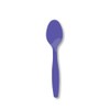 Creative Converting Touch of Color Premium 24-Count Plastic Spoons, Purple