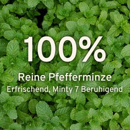 HANDPICK, Peppermint Tea (100 Tea Peppermint Bags) Non-GMO, Pure Tea Peppermint Tea - Mint, Fresh, Cool Flavour, Round Environmentally Aware Tea Bags, Peppermint Tea