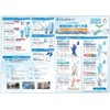 [SDGs Compatible] Reliable Amano Apron with Sleeves, Plastic Gowns, Disposable,