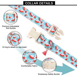 Lionet Paws Summer Dog Collar- Cute Watermelon Light Blue Dog Collars with Plastic Buckle and Watermelon Pendant,Light Adjustable Dog Collars for Small Dogs