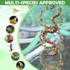 1+1 Big Snake Enrichment Rings for Ball Python, Climbing Toys