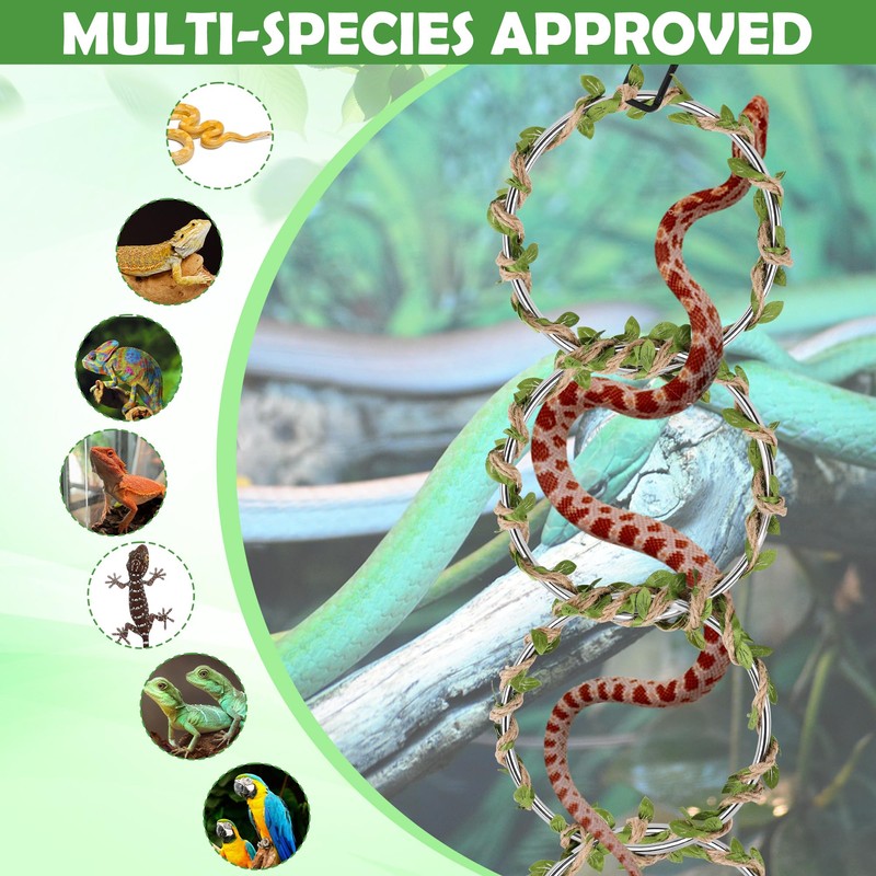 1+1 Big Snake Enrichment Rings for Ball Python, Climbing Toys