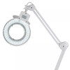 AmScope 2.25X Magnification 5" Diameter Lens 90 LED Desk Clamp