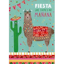 Sellers Publishing RSVP Fiesta Llama and Cactus Funny/Humorous Birthday Card