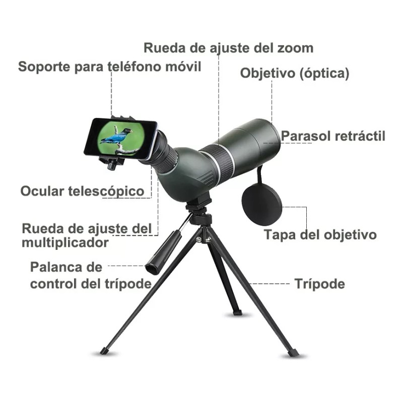 Carson Telescopios Y Monocular Hd 20-60*60 Zoom Continuo Infinito