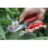Darlac Floral Shear