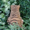 Vivid Arts Pet Pal Tiger Cub