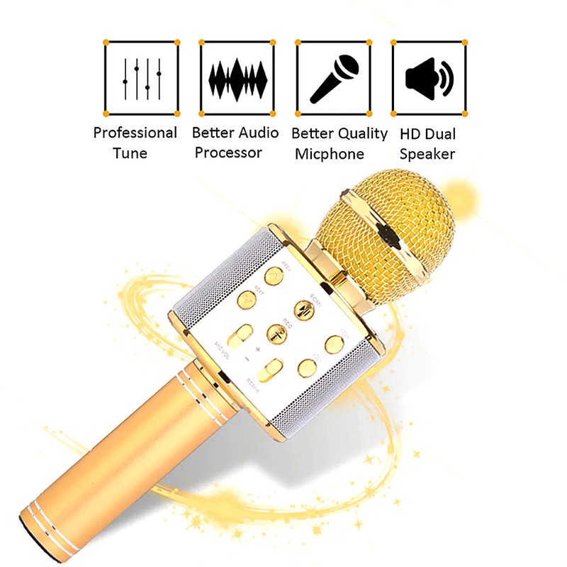 Professional BT Wireless Microphone Karaoke Speaker KTV Music Player Singing