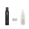 Awapuhi Wild Ginger by Paul Mitchell HydroCream Whip Mousse, Frizz