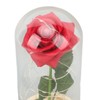 Rose in Glass Dome Lucky Beautiful Symbolism Romantic Enchanted Rose