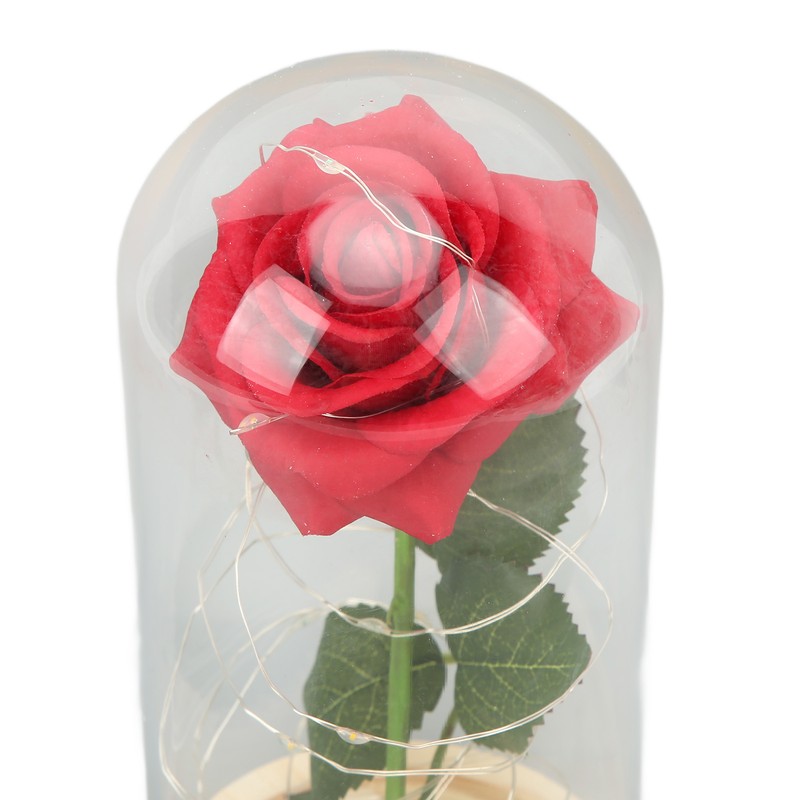 Rose in Glass Dome Lucky Beautiful Symbolism Romantic Enchanted Rose