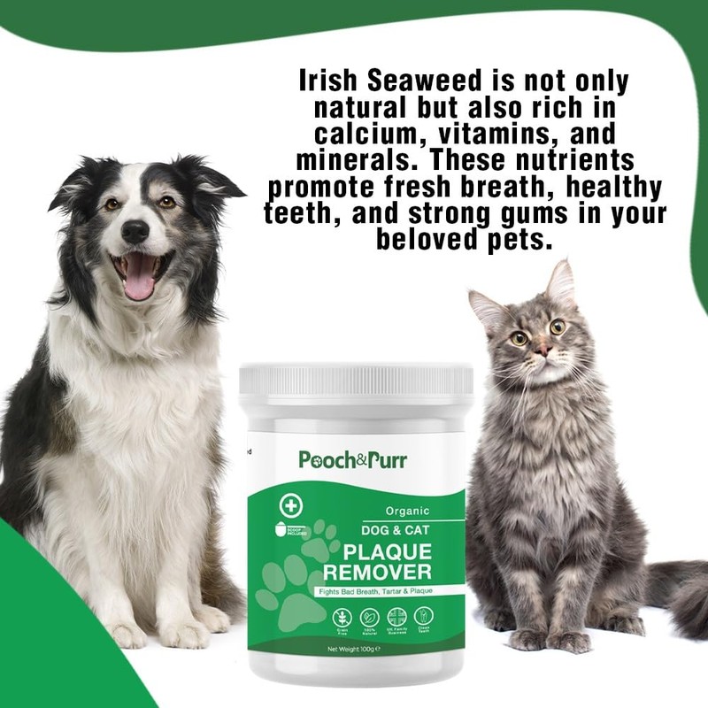 Pooch & Purr Plaque Off Remover For Dog/Plaque Off Cats.