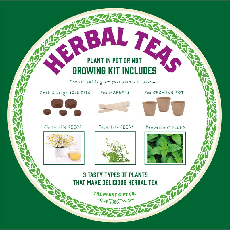 Best Mum Growing Kit