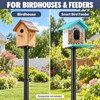 79 Inch Bird Feeder Pole, Heavy Duty 1 Inch Metal