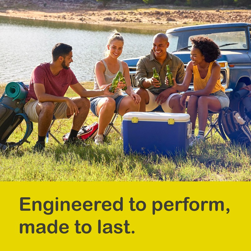 Coleman Cooler Hinge Replacement Kit - 2 Hinges, 1 Lid