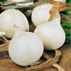CEMEHA SEEDS - White Onion Non GMO Vegetable for Planting