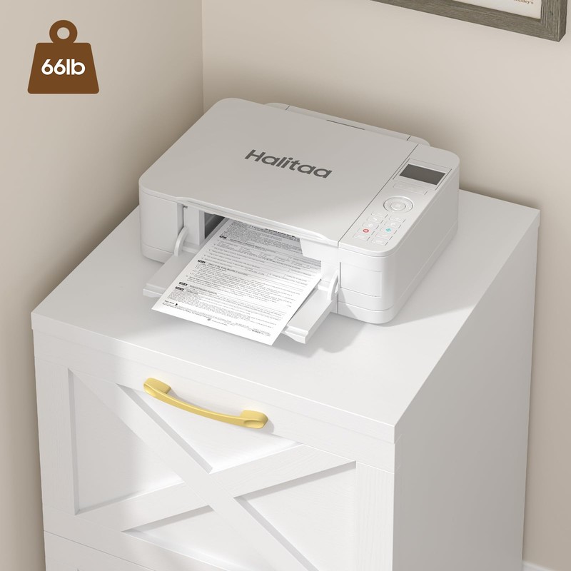 Halitaa 2 Drawer Small File Cabinet with Wheels, Farmhouse Vertical