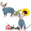 ROZKITCH Hairless Cat Clothes, Breathable Soft Cat Jumpers for Cats