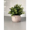KOTARBAU® Ceramic Flower Pot Planter Diameter 110 mm Beige in