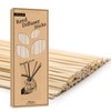 VFULIE 100PCS Reed Diffuser Sticks, 10 Inch Natural Rattan Wood