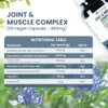Joint & Muscle Complex | Boswellia, Devil's Claw & Pea