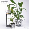 KONZEPT Flower Pot with Insert (Diameter 19 cm) - Large