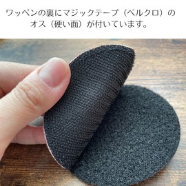 Patch Shop Dongri Fuji Cherry Blossom Embroidery Airsoft Patch Patch Detachable Velcro Military A0682