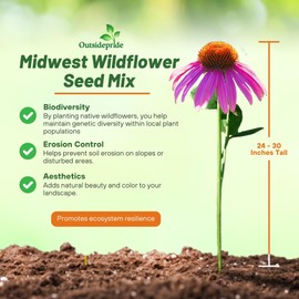 Outsidepride Midwest Wildflower Seed Mix - 1/4 Lb Premium Blend of Annual & Perennial Native Wildflower Seeds for Midwestern States, Attracts Pollinators, Low-Maintenance, Ideal for Meadows & Gardens