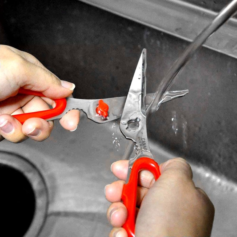 Hasegawa Cutlery TH-175 Scissors for Table Kitchen Red