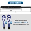 Basketball Zone Defense Bungee Kit | 1 Belts, 1×6.6ft &