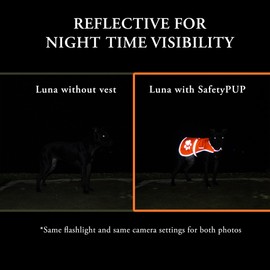 SafetyPUP XD Urban Dog Reflective Vest. Our Fluorescent Hi-Visibility Dog Jacket in Multi-Colors Helps to Safeguard Your PUP in The Outdoors On and Off Leash Medium