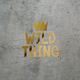 Decal Stickers of Wild Thing (Metallic Gold) (Set of 2) Premium Waterproof Vinyl Decal Stickers for Laptop Phone Accessory Helmet Car Window Mug Tuber Cup Door Wall Decoration - ANDsticd76073GO