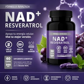Suplemento Alimenticio NAD+ con Resveratrol | 60 Cápsulas de 500 mg | Alta Absorción | Sin Gluten | Sin Aditivos | Apoya Energía Celular y Antioxidant