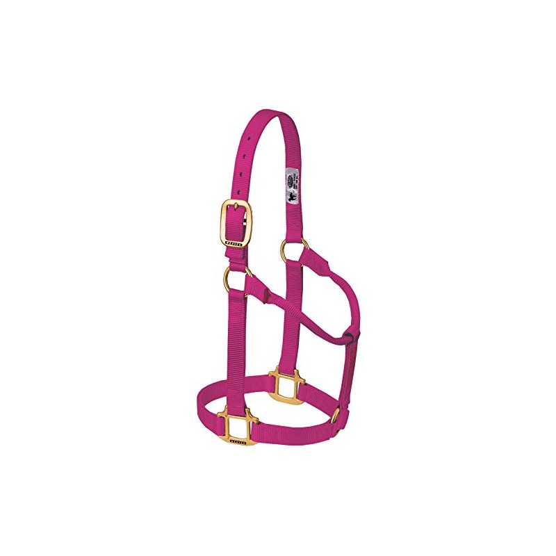 Weaver Leather Original Non-Adjustable Halter, Raspberry, Average Horse Size