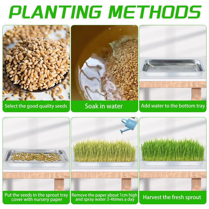 WBCBEC Plant Germination Trays, Stainless Steel Plant Trays Stainless Metal