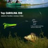 Carolina Rigs for Fishing- 10PCS Ready Tied Carolina Rig Kit