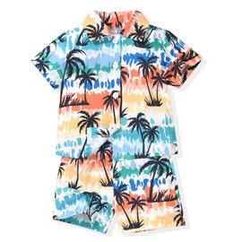 6-9 Months Baby Hawaiian Outfit Infant Boy Short Sleeve Hawaii Shirts Shorts Set Infant Summer Outfit Beach Clothing Coconut Tree