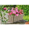 Dehner Rattan Planter, Approx. 30 x 15 x 15 cm,