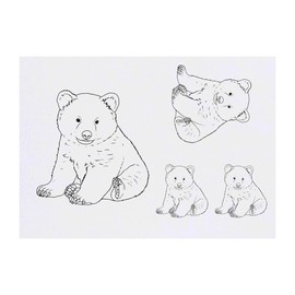 4 x 'Bear Cub Sitting' Temporary Tattoos - Water Resistant, Skin-Safe, Non-Toxic Transfers, Mixed Sizes (TO00084318)
