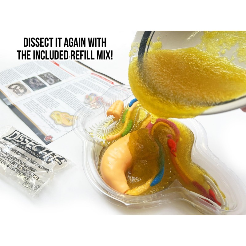 Dissect It - Rattlesnake Super Lab