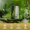 Based Bundle | Shampoo + Conditioner | Simple, Natural, Effective.:_Shampoo