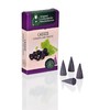 Crottendorfer Incense Cones Flower & Fruits Cassis Scent Size M