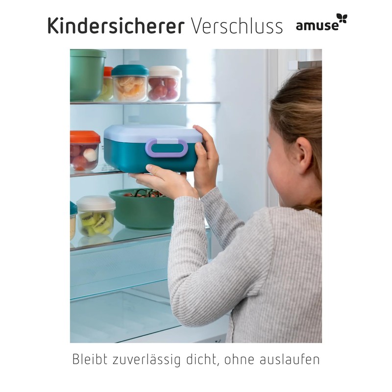 Amuse Rikko Children's Lunch Box Set with Compartments Bento Box