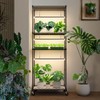 Bstrip Plant Shelf with Grow Light with Timer, Plant Stand