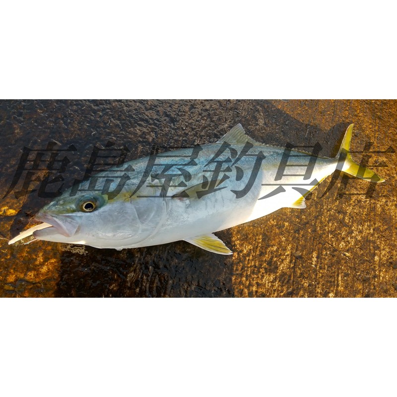 60mm 弓角 5色セット サーフトローリング 青物 シーバス サワラ ヒラメ 釣り ルアー