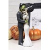 Ebros DOD True Love Kiss Skeleton Frankenstein Bride and Groom