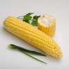 Seeds Sugar Sweet Corn Heirloom Vegetable for Planting Non GMO