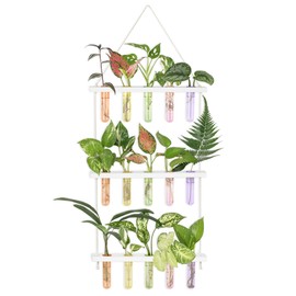 Mkono Plant Propagation Tubes, 3 Tiered Wall Hanging Terrarium with Wooden Stand Test Tube Flower Vase Glass Planter Stations Home Office Decor Plant Lover Gift, White