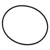 Pentair 154493 O- Ring Closure for Triton Filter